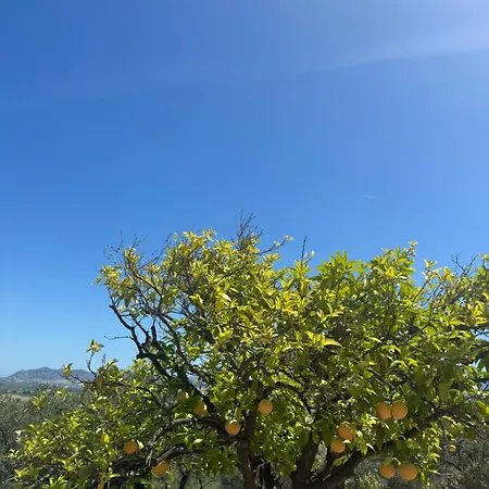 Santa Teresa Andalusien *