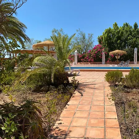 Santa Teresa Andalusien B&B 피자라